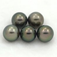 Lot de 5 Perles de Tahiti Semi-Rondes C de 9 à 9.3 mm