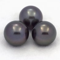 Lot de 3 Perles de Tahiti Rondes C de 12.6 à 12.9 mm