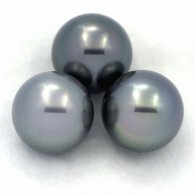 Lot de 3 Perles de Tahiti Rondes C de 13 à 13.1 mm