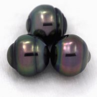 Lot de 3 Perles de Tahiti Cerclées C de 10.1 à 10.2 mm