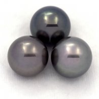 Lot de 3 Perles de Tahiti Rondes C de 11.6 à 11.9 mm