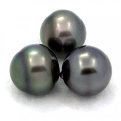 Lot de 3 Perles de Tahiti Cerclées C de 12.6 à 12.9 mm