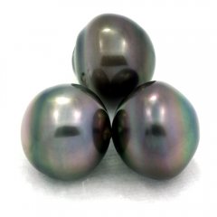 Lot de 3 Perles de Tahiti Cerclées C de 12.6 à 12.9 mm