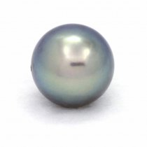 Superbe perle de Tahiti Ronde C+ 11.3 mm