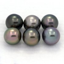 Lot de 6 Perles de Tahiti Rondes C de 8.2 à 8.4 mm