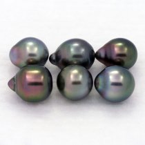 Lot de 6 Perles de Tahiti Semi-Baroques B de 7.7 à 8.3 mm