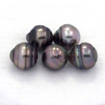 Lot de 5 Perles de Tahiti Cerclées C de 8.5 à 8.8 mm