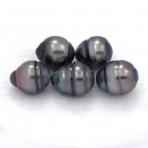 Lot de 5 Perles de Tahiti Cerclées C de 8.5 à 8.8 mm