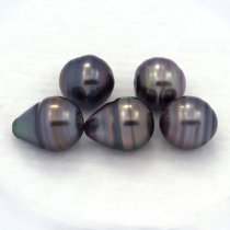 Lot de 5 Perles de Tahiti Cerclées C de 9.6 à 9.8 mm