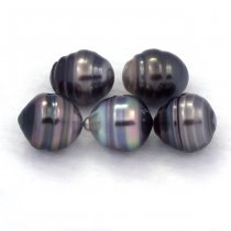 Lot de 5 Perles de Tahiti Cerclées C de 9.5 à 10 mm