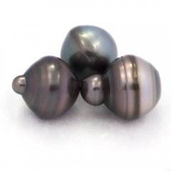 Lot de 3 Perles de Tahiti Cerclées C de 13 à 13.4 mm