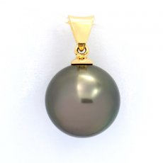 Pendentif en Or 18K et 1 Perle de Tahiti Ronde B 11.7 mm