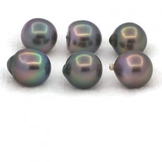 Lot de 6 Perles de Tahiti Semi-Baroques B de 9.5 à 9.8 mm