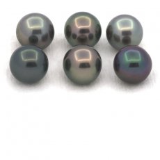 Lot de 6 Perles de Tahiti Rondes et Semi-Rondes C de 8.5 à 8.6 mm