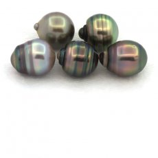 Lot de 5 Perles de Tahiti Cerclées C de 9.4 à 9.9 mm