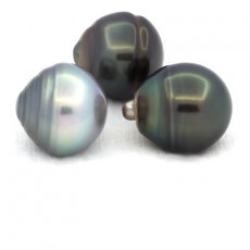 Lot de 3 Perles de Tahiti Cerclées C de 12.5 à 12.9 mm