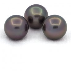 Lot de 3 Perles de Tahiti Semi-Rondes C de 12.6 à 12.8 mm