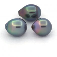 Lot de 3 Perles de Tahiti Semi-Baroques C de 11 à 11.3 mm