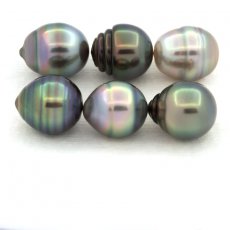 Lot de 6 Perles de Tahiti Cerclées B de 9.1 à 9.4 mm