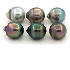 Lot de 6 Perles de Tahiti Cerclées B de 9.6 à 9.8 mm