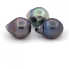 Lot de 3 Perles de Tahiti Cerclées C de 10.5 à 10.8 mm