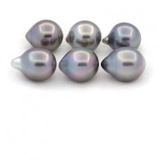 Lot de 6 Perles de Tahiti Semi-Baroques C de 9.5 à 9.8 mm