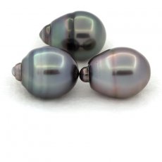 Lot de 3 Perles de Tahiti Cerclées C de 11.6 à 11.9 mm