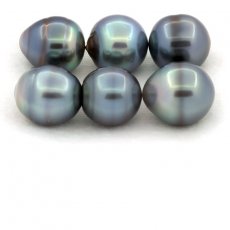 Lot de 6 Perles de Tahiti Cerclées C de 12.5 à 13.1 mm