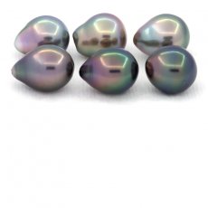 Lot de 6 Perles de Tahiti Semi-Baroques C de 9 à 9.4 mm