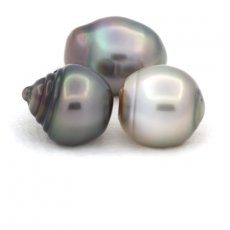 Lot de 3 Perles de Tahiti Cerclées C de 10.6 à 10.8 mm