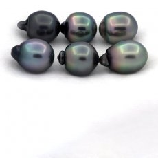 Lot de 6 Perles de Tahiti Semi-Baroques B/C de 11.5 à 11.9 mm