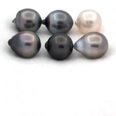 Lot de 6 Perles de Tahiti Semi-Baroques C de 11.6 à 11.8 mm