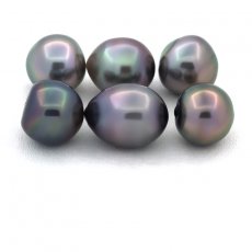 Lot de 6 Perles de Tahiti Semi-Baroques B de 10 à 10.3 mm