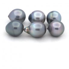 Lot de 6 Perles de Tahiti Semi-Baroques B de 11.1 à 11.4 mm