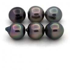 Lot de 6 Perles de Tahiti Semi-Baroques B de 10 à 10.4 mm