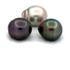 Lot de 3 Perles de Tahiti Cerclées C de 12.6 à 12.8 mm