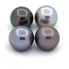 Lot de 4 Perles de Tahiti Rondes C de 11.1 à 11.3 mm