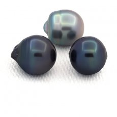 Lot de 3 Perles de Tahiti Cerclées D de 13.5 à 13.9 mm