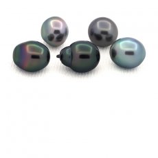 Lot de 5 Perles de Tahiti Semi-Baroques C de 9.6 à 9.9 mm