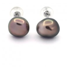 Boucles d'Oreilles en Or blanc 14K et 2 Keishis de Tahiti