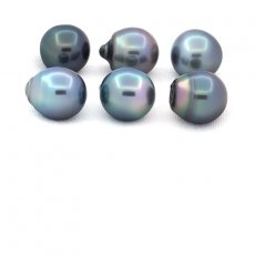 Lot de 6 Perles de Tahiti Semi-Baroques C de 12.6 à 12.8 mm